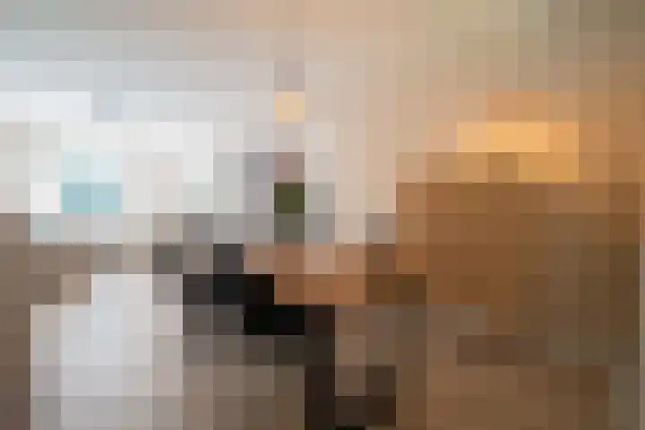 van der Ploegstraat 4 Heemskerk thumbnail 5