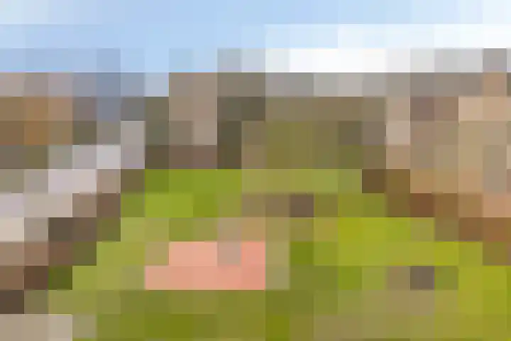 van der Ploegstraat 9 Heemskerk thumbnail 8
