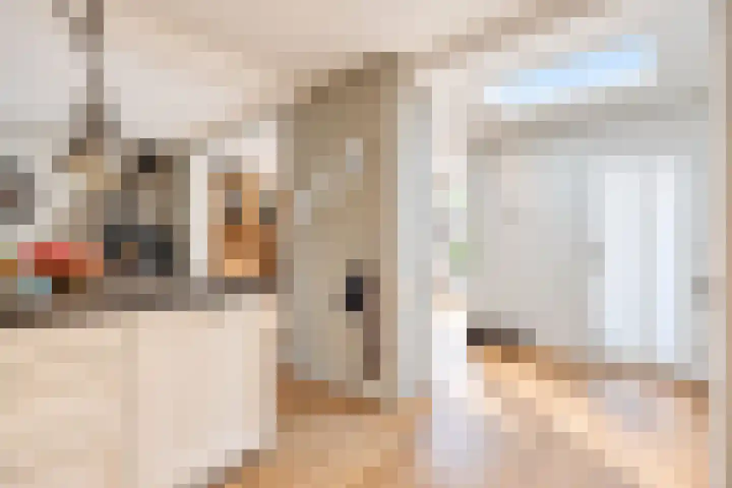 van der Ploegstraat 92 Heemskerk thumbnail 38