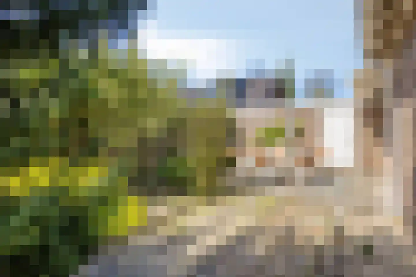 van der Ploegstraat 93 Heemskerk thumbnail 23