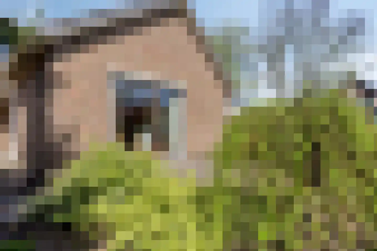 van der Ploegstraat 93 Heemskerk thumbnail 24