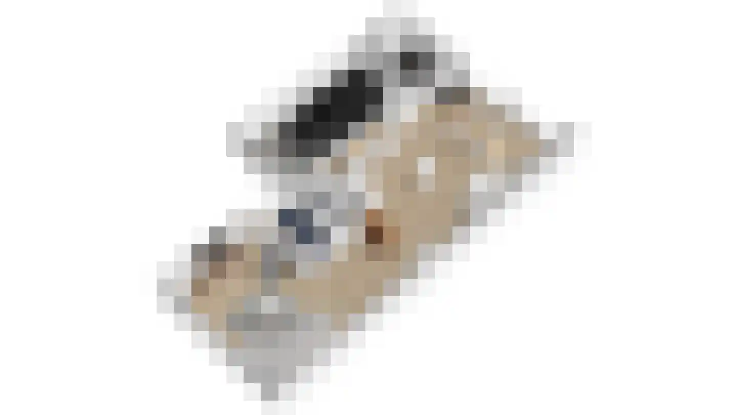 Van der Ploegstrjitte 34 Burgum thumbnail 15
