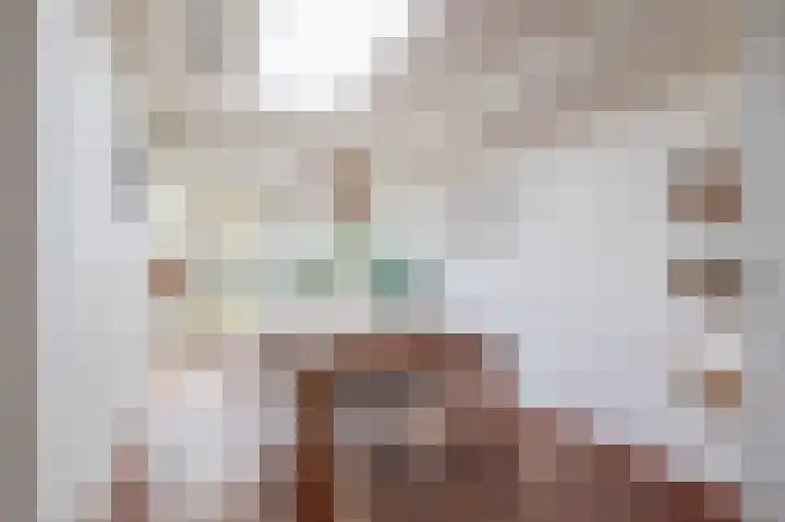 Van der Ploegstrjitte 50 Burgum thumbnail 13