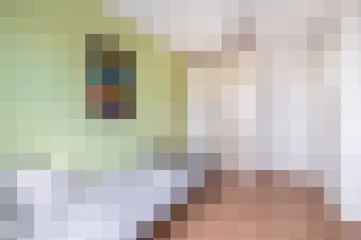 Van der Ploegstrjitte 50 Burgum thumbnail 27