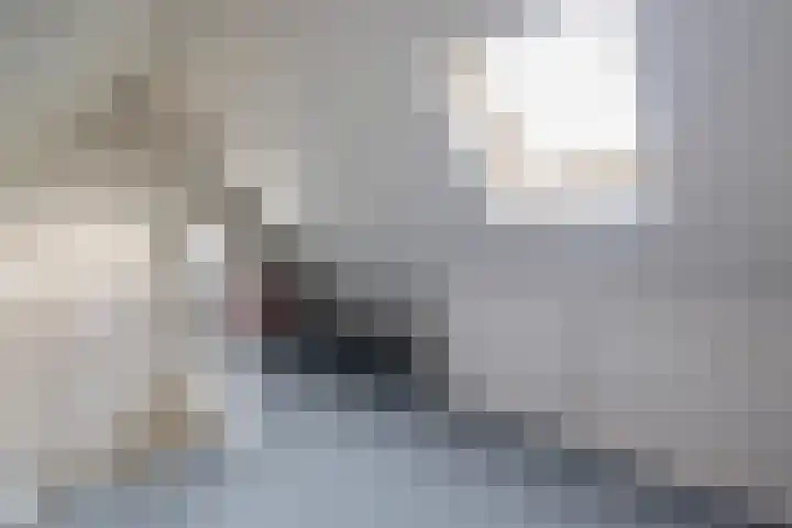 Van der Ploegstrjitte 50 Burgum thumbnail 32