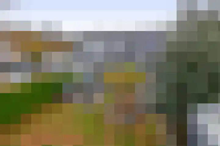 Van der Ploegstrjitte 50 Burgum thumbnail 35