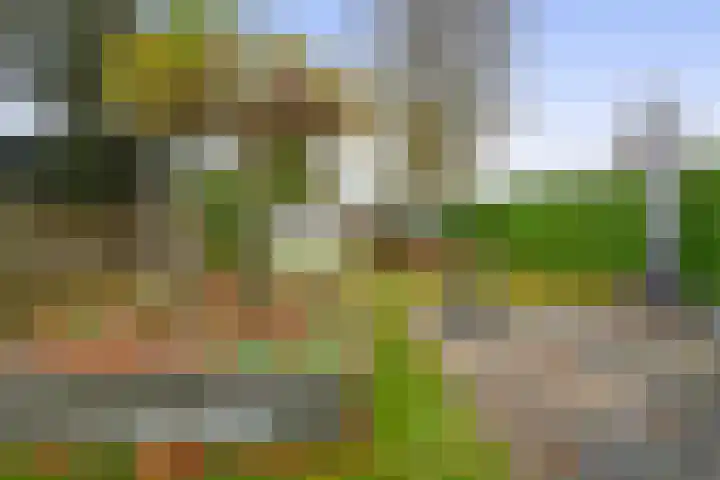 Van der Ploegstrjitte 50 Burgum thumbnail 38