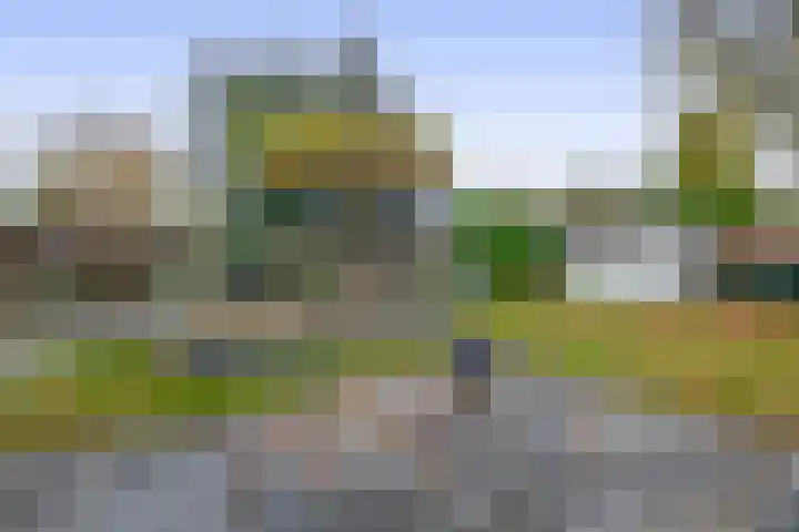 Van der Ploegstrjitte 50 Burgum thumbnail 39