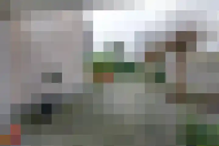 Van der Ploegstrjitte 50 Burgum thumbnail 40