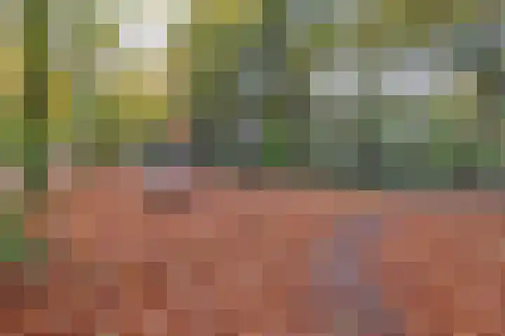 Van der Ploegstrjitte 50 Burgum thumbnail 45