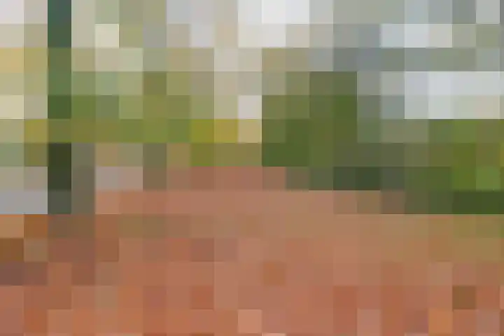Van der Ploegstrjitte 50 Burgum thumbnail 46