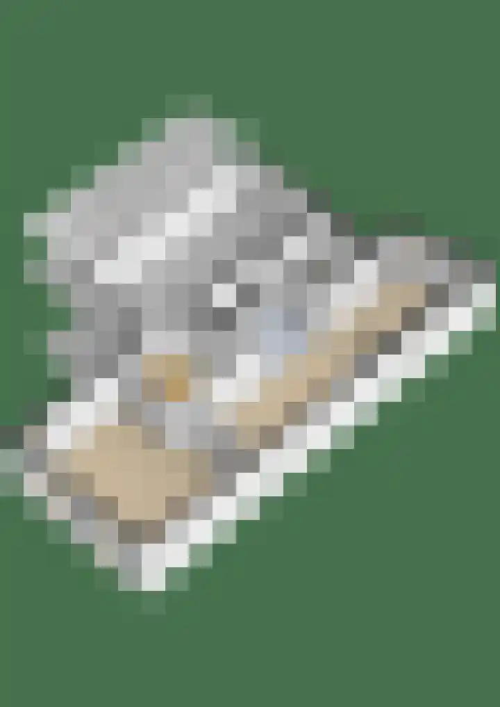 Van der Ploegstrjitte 50 Burgum thumbnail 52