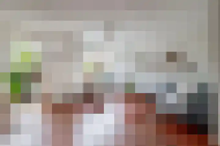 Van der Ploegstrjitte 50 Burgum thumbnail 6
