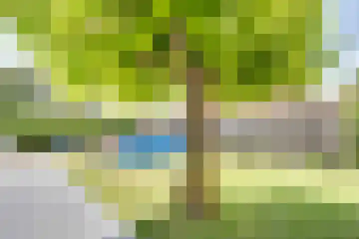 van der Poest Clementstraat 1 Nisse thumbnail 15