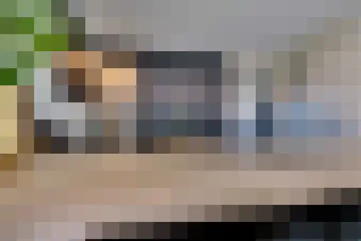 van der Poest Clementstraat 1 Nisse thumbnail 30