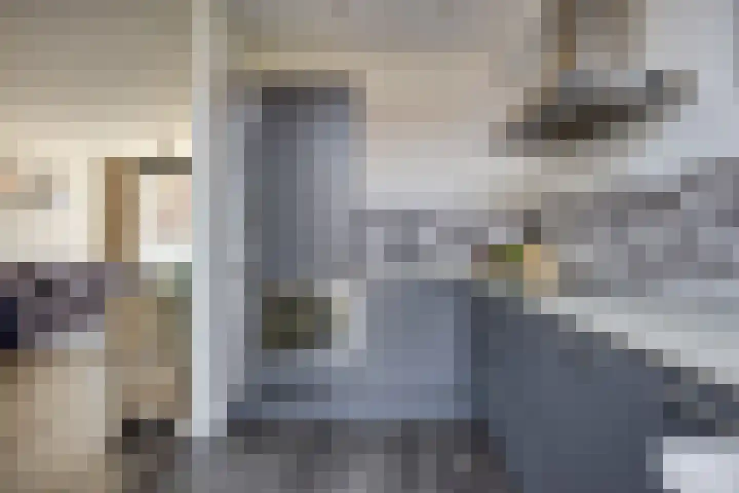 Van der Poest Clementstraat 31 Etten-Leur thumbnail 15