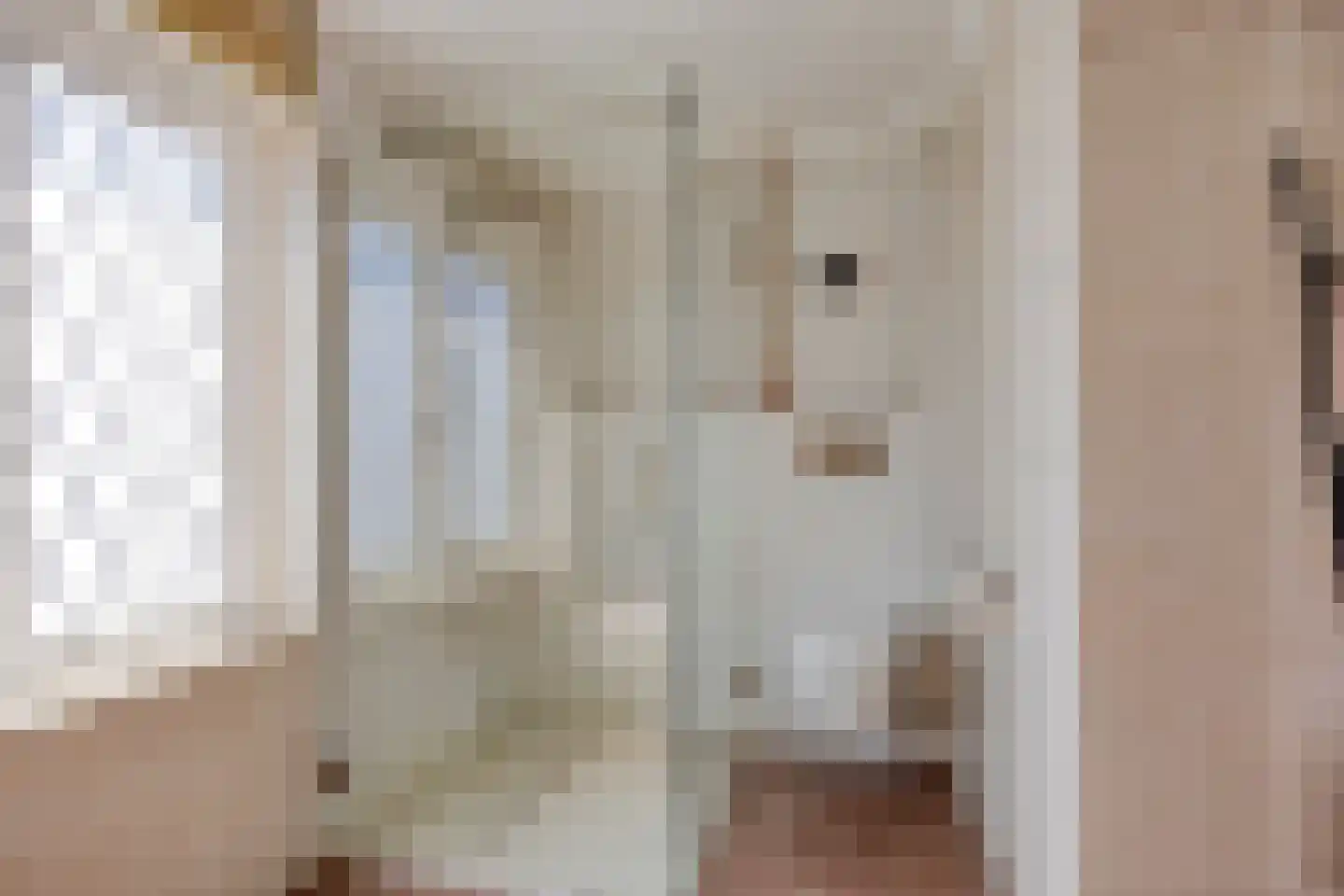 van der Puttenstraat 4 Helmond thumbnail 33