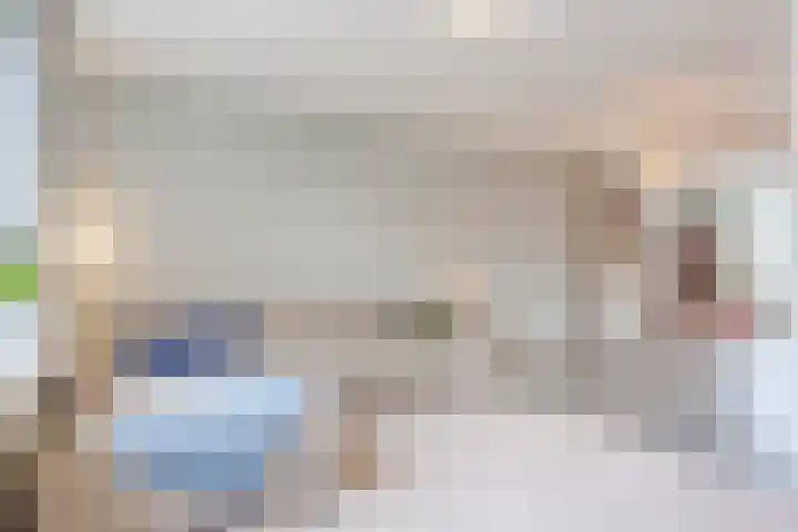 van der Puttstraat 18 Geldrop thumbnail 11