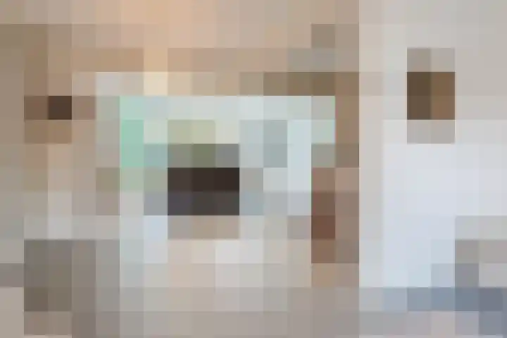 van der Puttstraat 18 Geldrop thumbnail 12