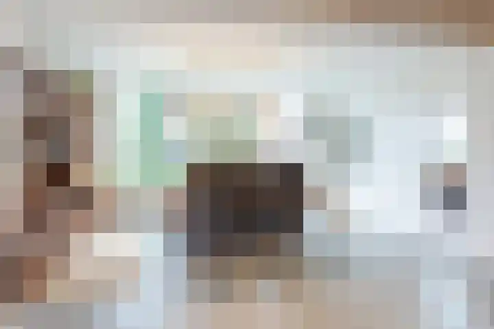 van der Puttstraat 18 Geldrop thumbnail 14