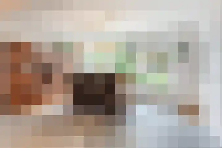 van der Puttstraat 18 Geldrop thumbnail 15