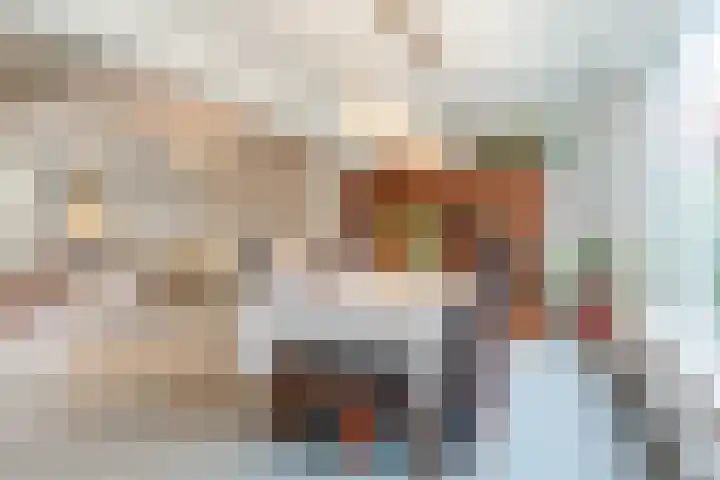 van der Puttstraat 18 Geldrop thumbnail 16