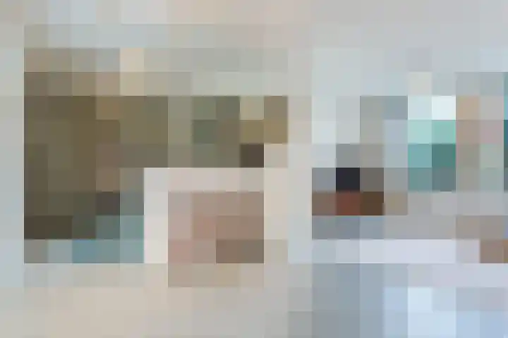 van der Puttstraat 18 Geldrop thumbnail 17