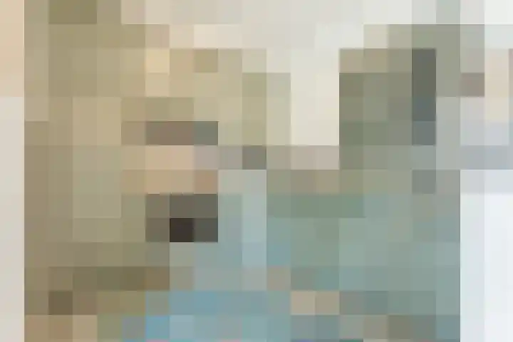 van der Puttstraat 18 Geldrop thumbnail 20
