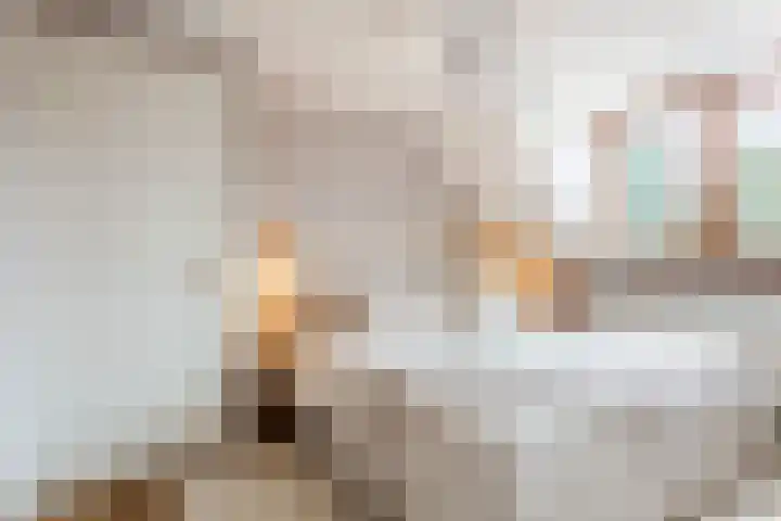van der Puttstraat 18 Geldrop thumbnail 25