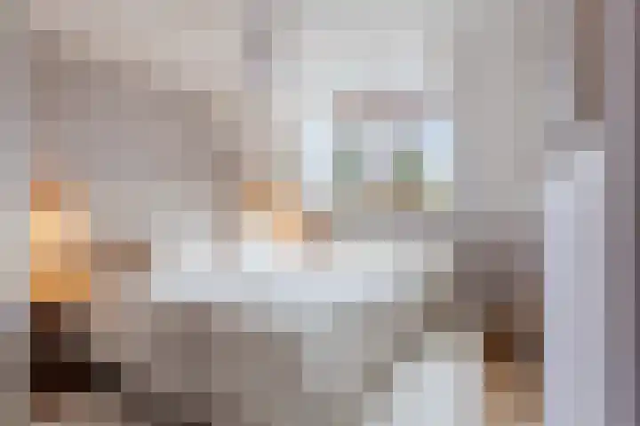 van der Puttstraat 18 Geldrop thumbnail 26