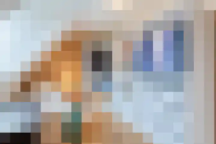 van der Puttstraat 18 Geldrop thumbnail 28