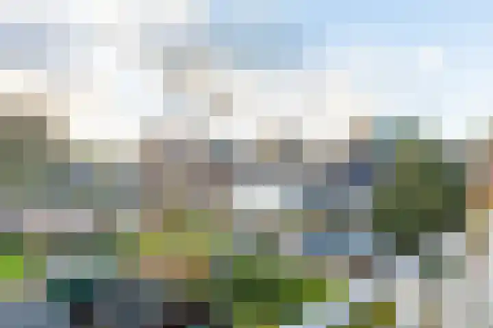van der Puttstraat 18 Geldrop thumbnail 30