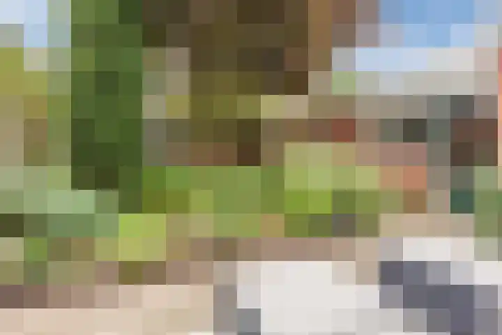 van der Puttstraat 18 Geldrop thumbnail 33