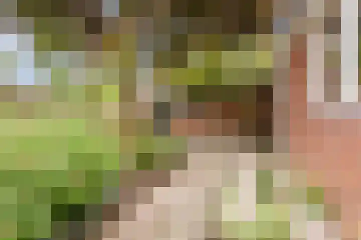 van der Puttstraat 18 Geldrop thumbnail 37