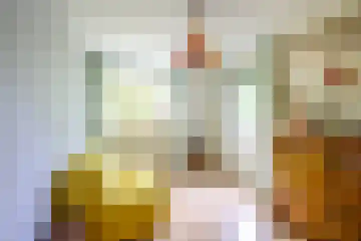 van der Puttstraat 18 Geldrop thumbnail 36