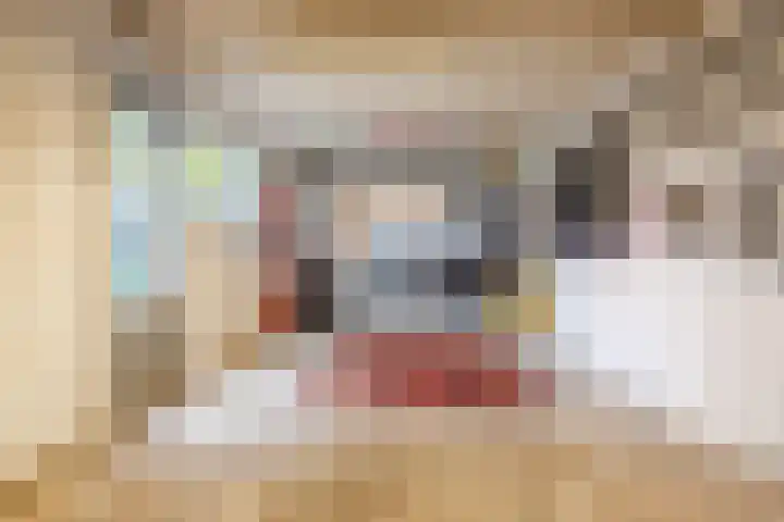 van der Puttstraat 18 Geldrop thumbnail 39