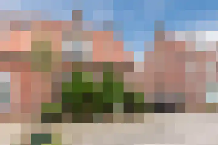 van der Puttstraat 18 Geldrop thumbnail 41