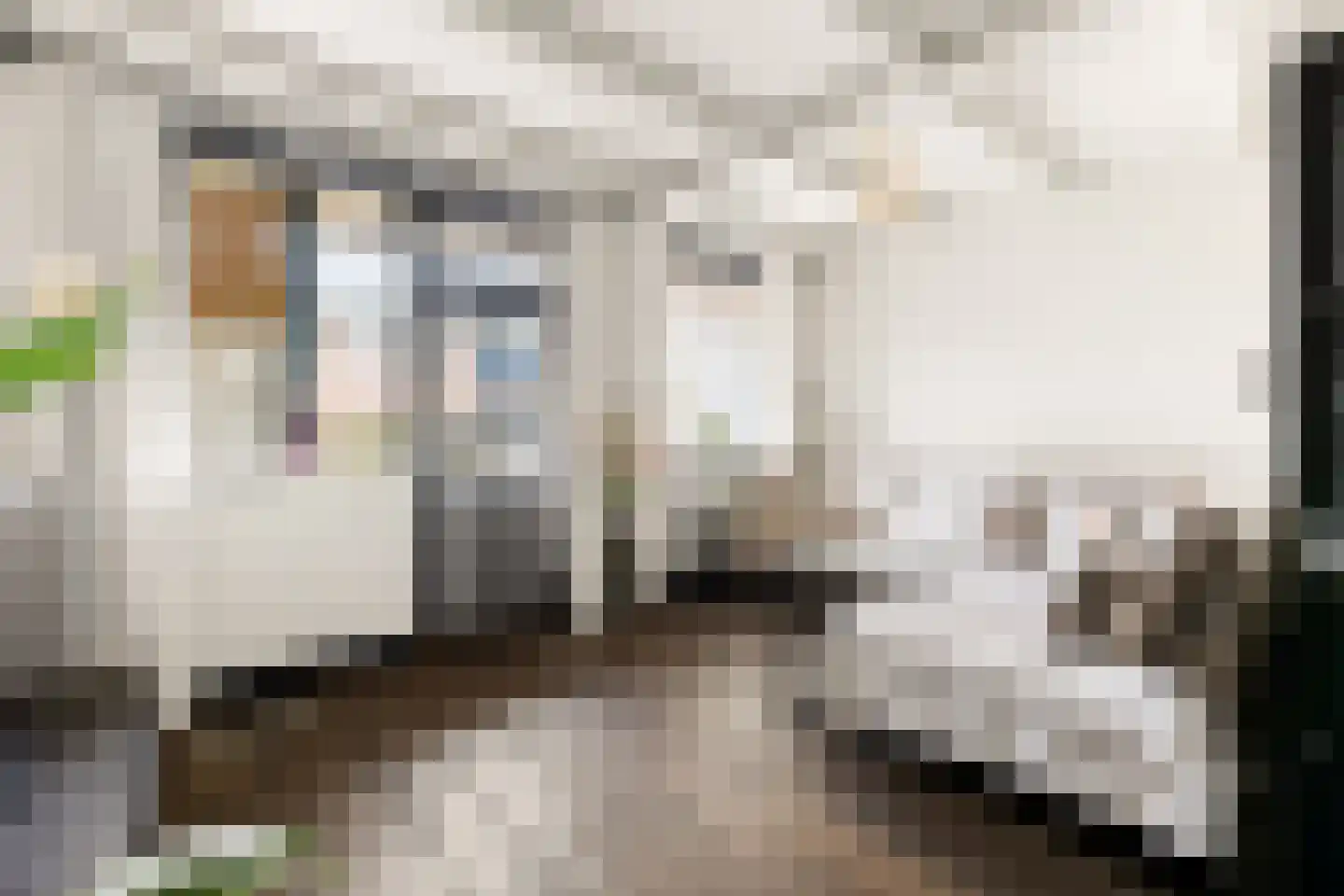van der Puttstraat 18 Geldrop thumbnail 39
