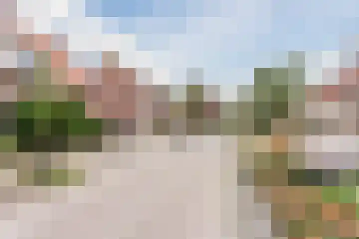 van der Puttstraat 18 Geldrop thumbnail 43