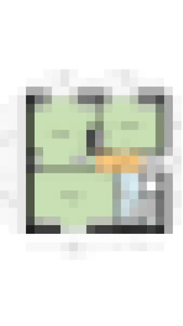 van der Puttstraat 18 Geldrop thumbnail 48