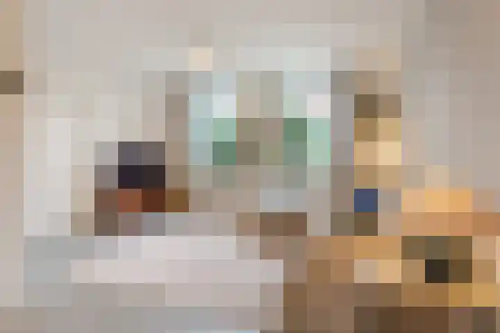 van der Puttstraat 18 Geldrop thumbnail 8