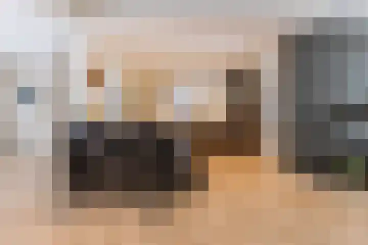 van der Puttstraat 38 Geldrop thumbnail 11