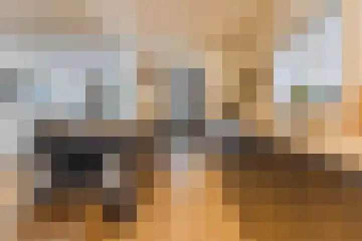van der Puttstraat 38 Geldrop thumbnail 14