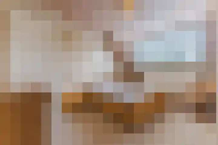van der Puttstraat 38 Geldrop thumbnail 21