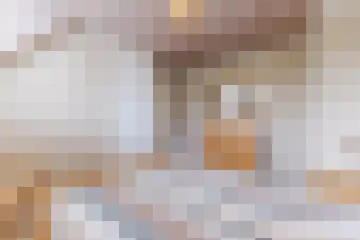 van der Puttstraat 38 Geldrop thumbnail 23