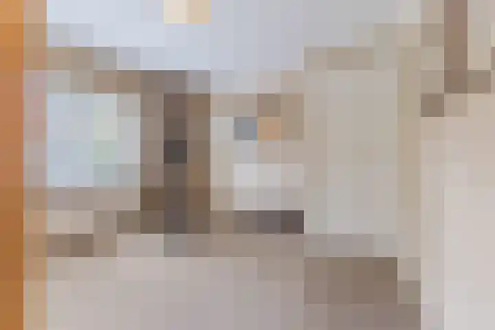 van der Puttstraat 38 Geldrop thumbnail 24