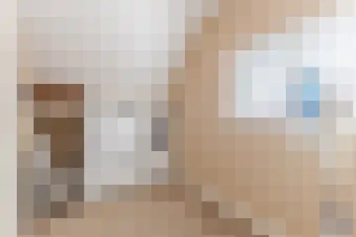 van der Puttstraat 38 Geldrop thumbnail 26