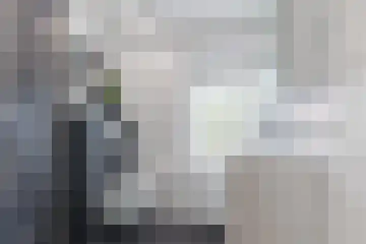 van der Puttstraat 38 Geldrop thumbnail 28