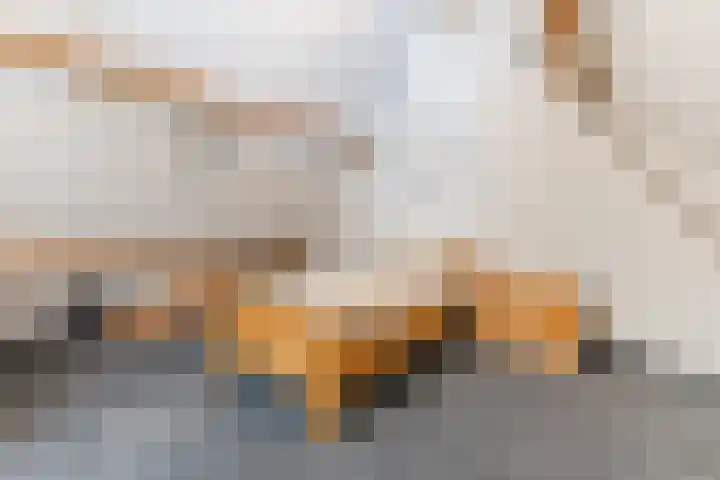 van der Puttstraat 38 Geldrop thumbnail 32