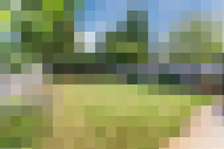 van der Puttstraat 38 Geldrop thumbnail 38